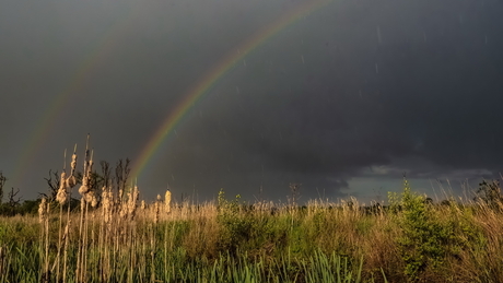Regen en boog