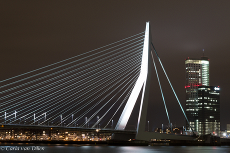 Erasmusbrug (2)