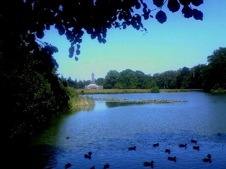 De Veluwe