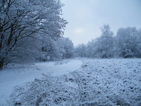 Landweg in de sneeuw.jpg