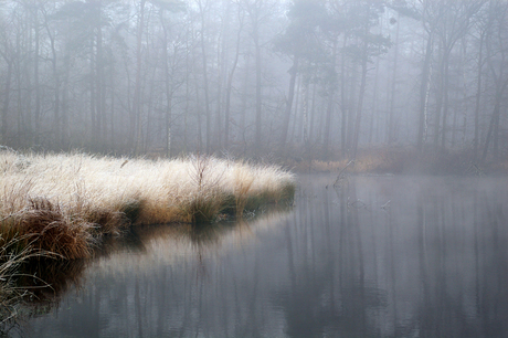 Frozen mist