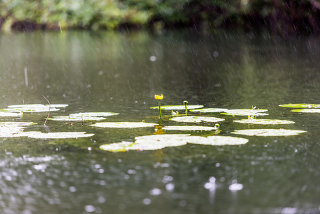 Water van boven en beneden