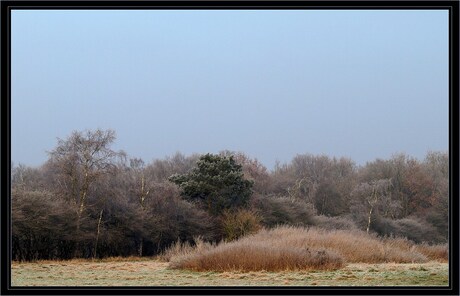 Winterlandschap