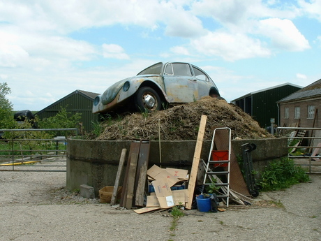 Mestkever of VW kever