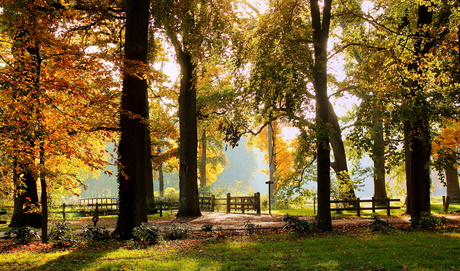 Nog meer herfstkleuren...(foto's) in het groot mooier...