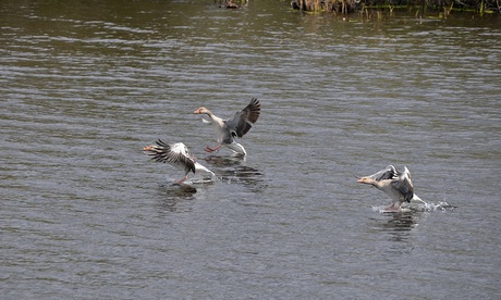 mooie landing