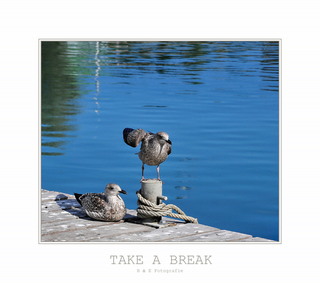 Take a Break..