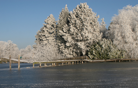 Reeuwijkse plassen by ice2