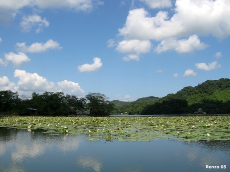 Rio Dulce