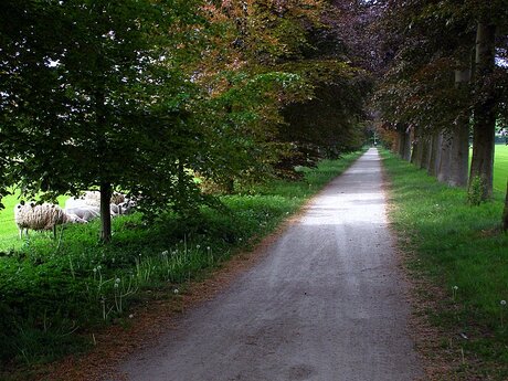 Gemert Groen