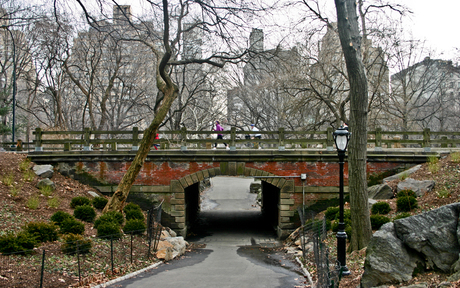 Bridge in Central Park