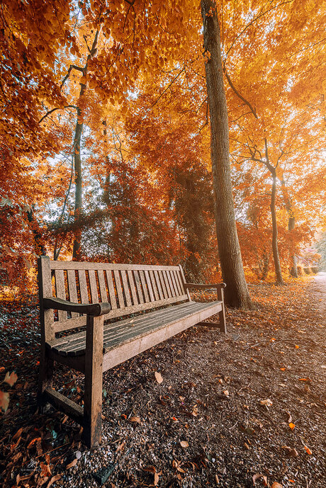 Herfst Kleuren