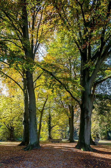 Landschap 31 oktober 2016