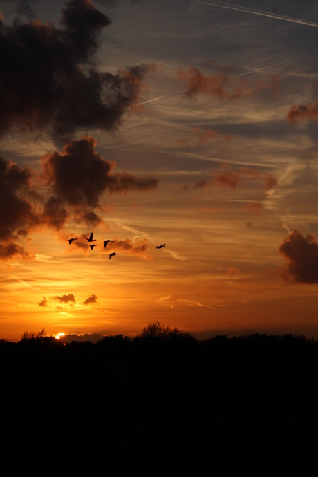 Zonsondergang