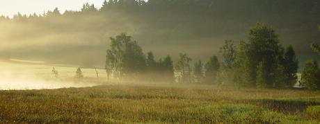 ochtendnevel, nevel, sfeerlicht, Harz