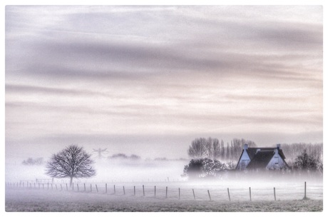 Mist bij Kruiningen