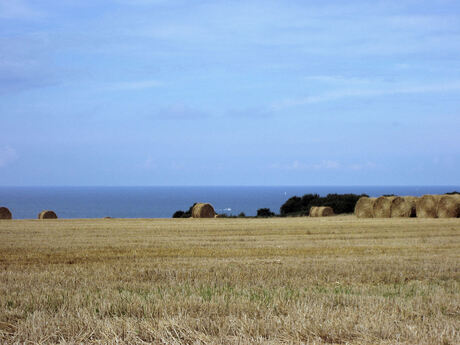 DDaykust in vrede