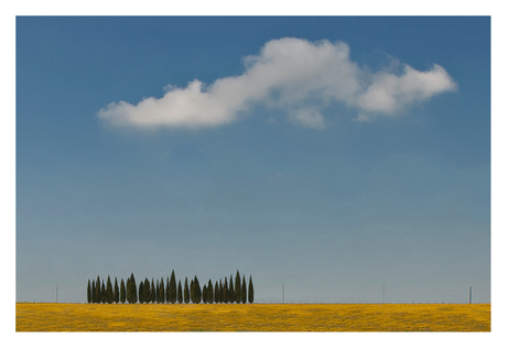 Langs de weg bij San Gimignano.