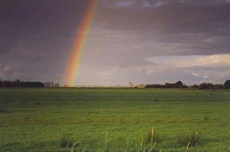 regenboog