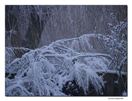 de 1e sneeuw