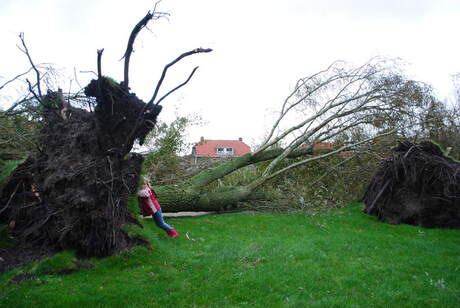 storm 2013