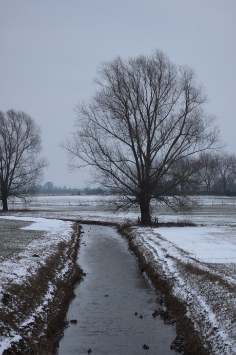 Winterplaatje