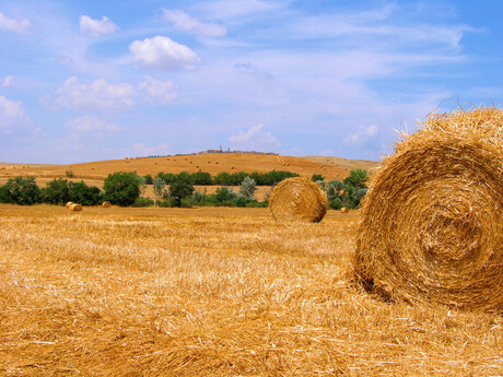 Pienza, Toscane