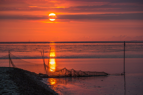 Visnetten op het WAD