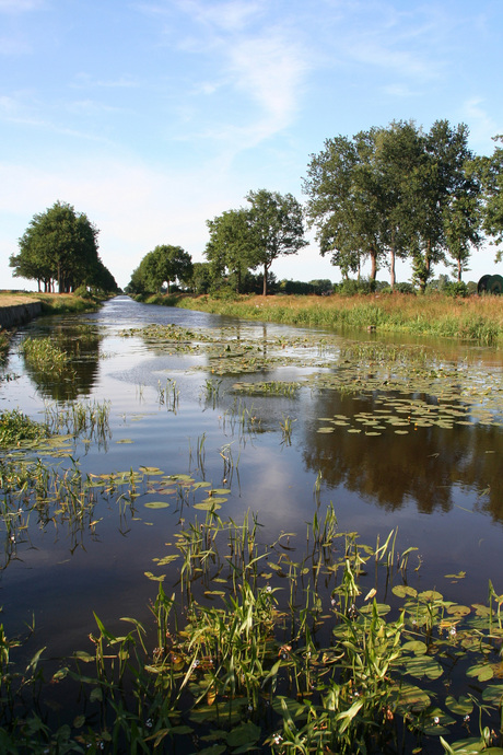 Waterlandschap