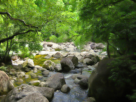 Mossman Gorge