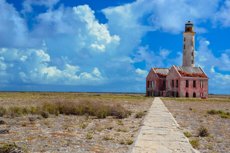 Klein curacao