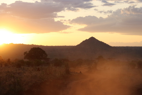 evening sun in Tanzania