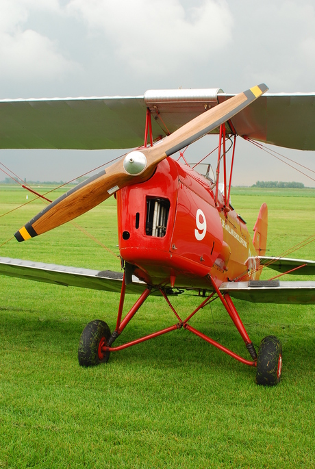 Tiger Moth