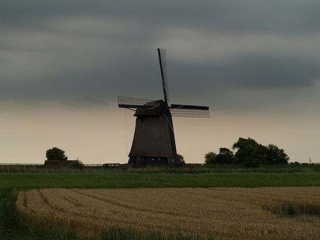 Echt Nederlands landschap