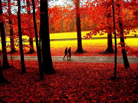 They'll pass from our view