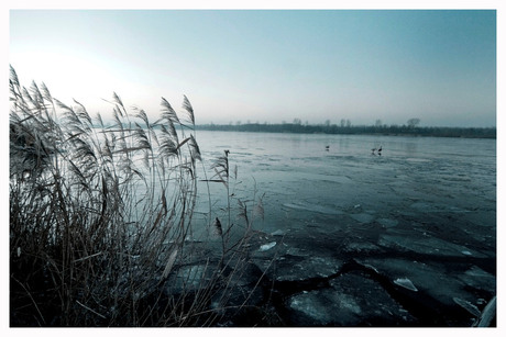 Frozen lake