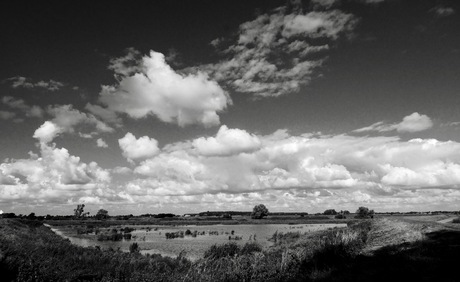 nederlands landschap