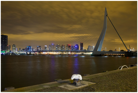 Erasmusbrug at dawn