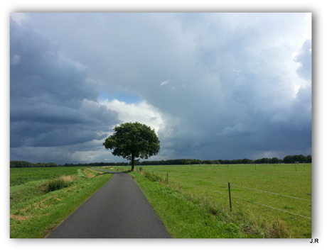 zomerlucht