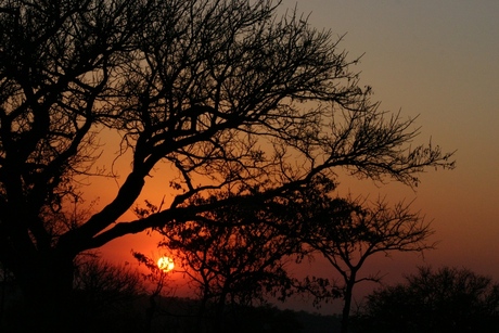 Zonsopkomst in Krugerpark