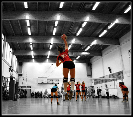 volleybal