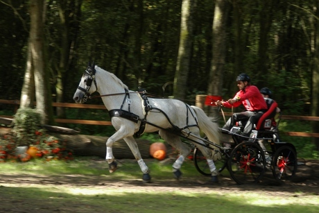 Menwedstrijd Hellendoorn