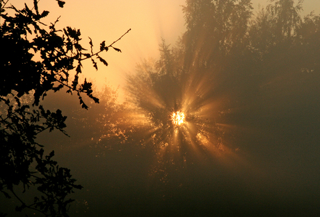 opkomende zon