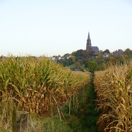 herfst in Limburg