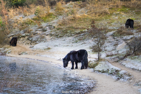 Magie en wonderen