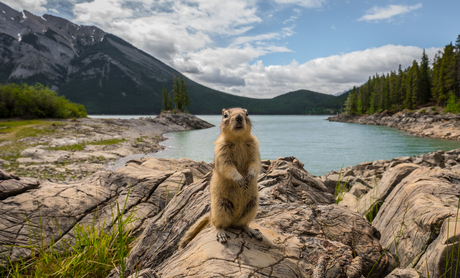 Lake Minnewanka