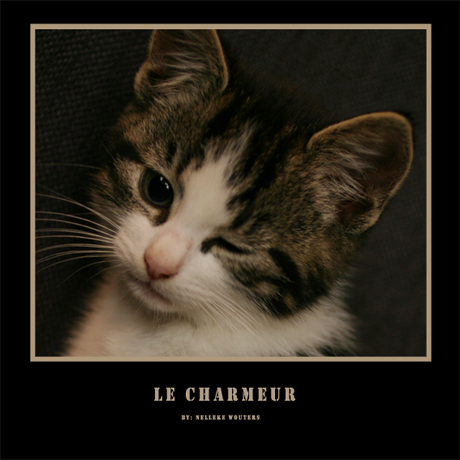 Le Charmeur