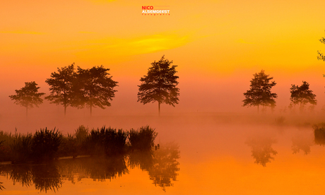 Sunrise Holland