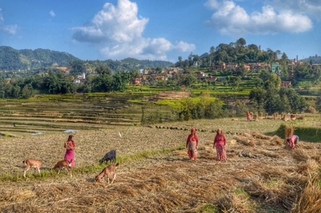 Kathmandu