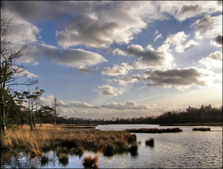 Ven staatsbos Staphorst